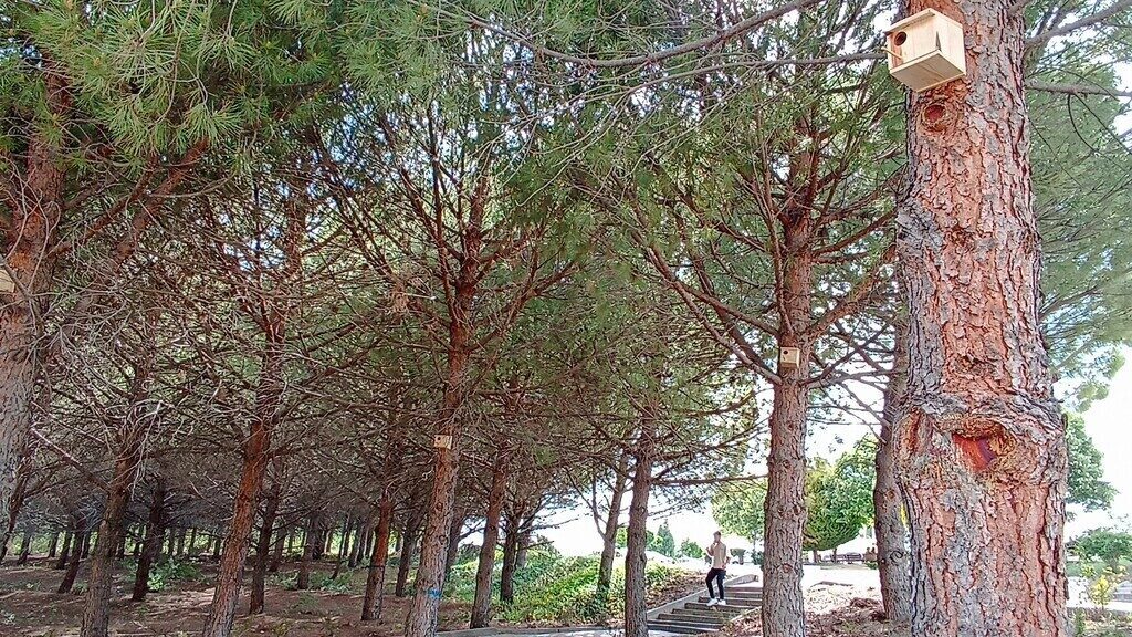 Kütahya’nın Gediz ilçesindeki Meslek Yüksekokulu yerleşkesinde, doğal yaşamı desteklemek amacıyla