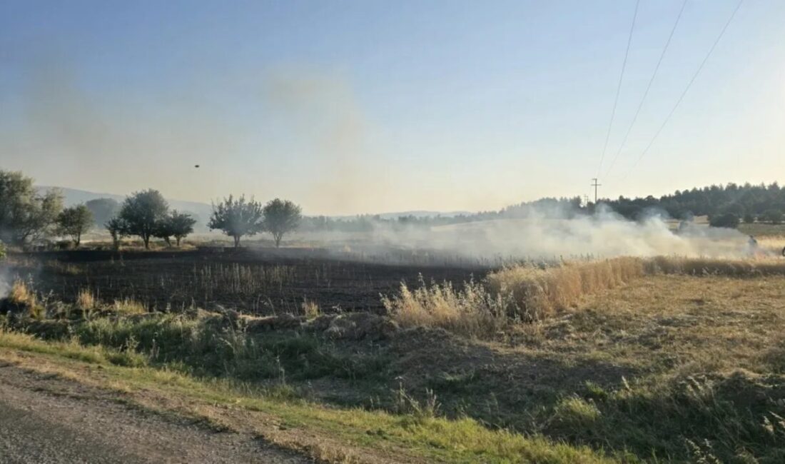 Mehmet ALTINTAŞ / GEDİZ (Kütahya), – KÜTAHYA’nın Gediz ilçesinde bir