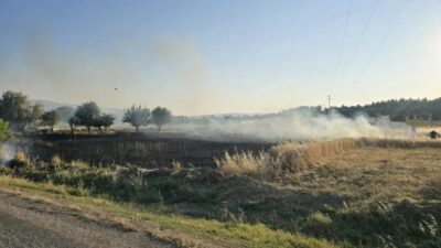 Mehmet ALTINTAŞ / GEDİZ (Kütahya), – KÜTAHYA’nın Gediz ilçesinde bir