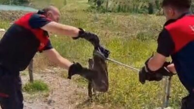 Kütahya’nın Gediz ilçesinde, yaz başında mevsim normallerinin üzerinde seyreden hava