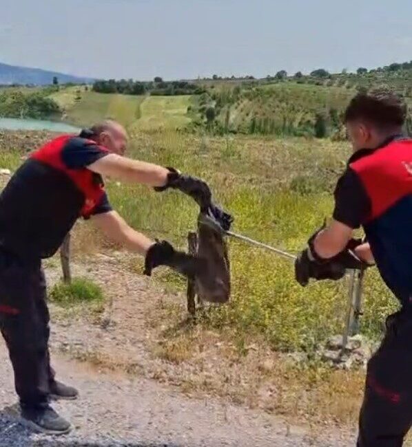 Kütahya’nın Gediz ilçesinde, yaz başında mevsim normallerinin üzerinde seyreden hava