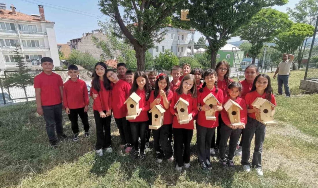 Kütahya’nın Hisarcık ilçesi Cumhuriyet İlkokulu öğrencileri, ahşap kuş yuvalarını okul