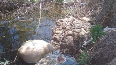 Kütahya’nın Tavşanlı ilçesinde Kurban Bayramı sonrası bazı duyarsız vatandaşların çevreye