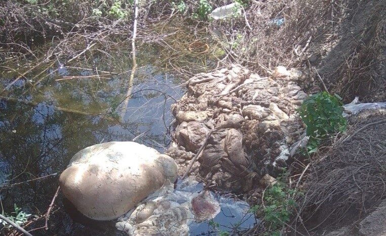Kütahya’nın Tavşanlı ilçesinde Kurban Bayramı sonrası bazı duyarsız vatandaşların çevreye