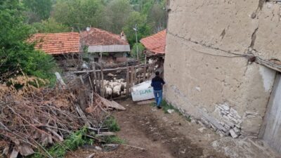 Mustafa YİĞİT/DOMANİÇ (Kütahya), – KÜTAHYA’nın Domaniç ilçesine bağlı Küçükköy’de kurtların