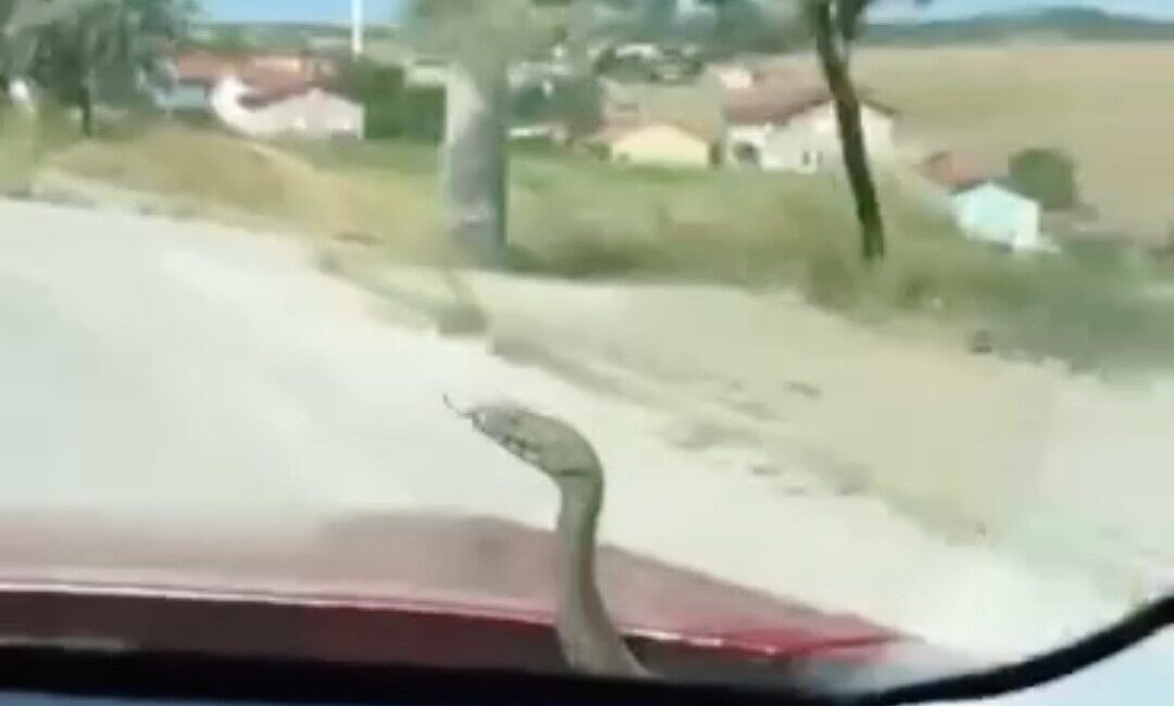 Kütahya’nın Tavşanlı ilçesine bağlı Ömerler köyünde yaşanan ilginç bir olay,