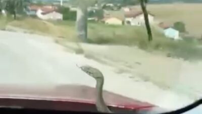 Kütahya’nın Tavşanlı ilçesine bağlı Ömerler köyünde yaşanan ilginç bir olay,