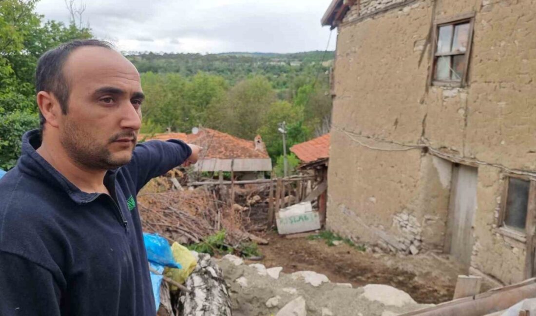 Kütahya’nın Domaniç ilçesine bağlı Küçükköy’de sabaha karşı yaşanan kurt saldırısı