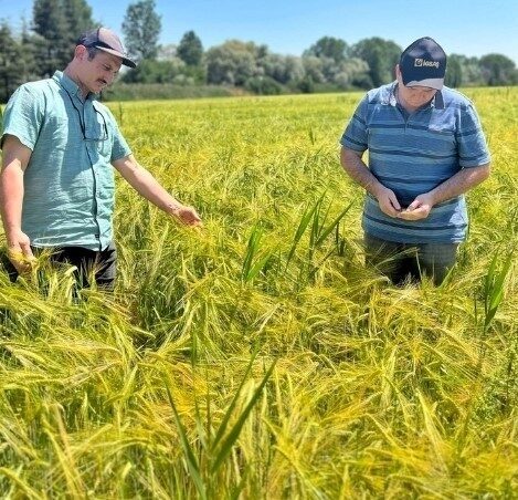 Kütahya İl Tarım ve Orman Müdürlüğünce Altıntaş ve Aslanapa ilçelerinde
