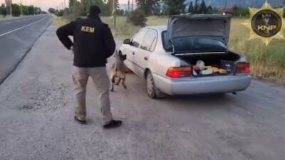 Kütahya’da operasyonda görev alan narkotik köpeği Thor’un kısa sürede uyuşturucu