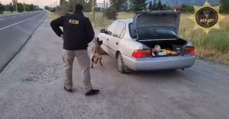 Kütahya’da operasyonda görev alan narkotik köpeği Thor’un kısa sürede uyuşturucu