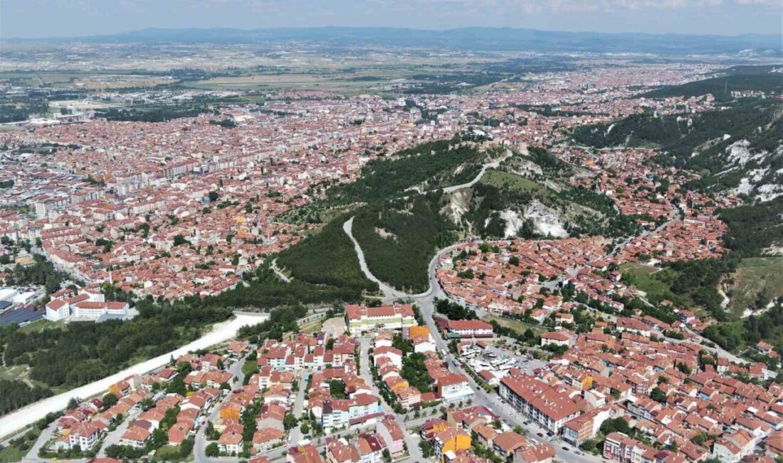 Türkiye İstatistik Kurumu (TÜİK), 2024 yılına ait ölüm ve ölüm