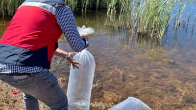 Kütahya’nın Aslanapa ilçesinde Tarım ve Orman Bakanlığının Su Kaynaklarının Balıklandırılması