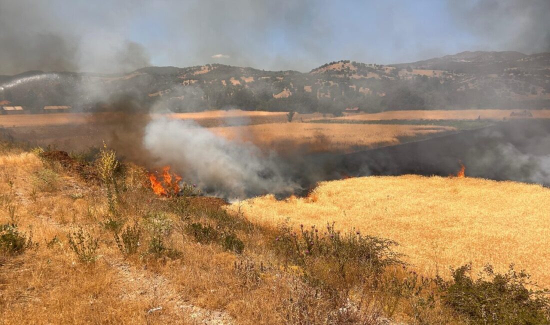 Mustafa AKÇAY/HİSARCIK (Kütahya), – KÜTAHYA’nın Hisarcık ilçesinde biçerdöverden çıkan kıvılcım,