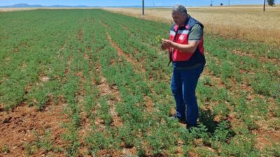 Çavdarhisar İlçe Tarım ve Orman Müdürlüğünce Tarım Arazilerinin Kullanımının Etkinleştirilmesi