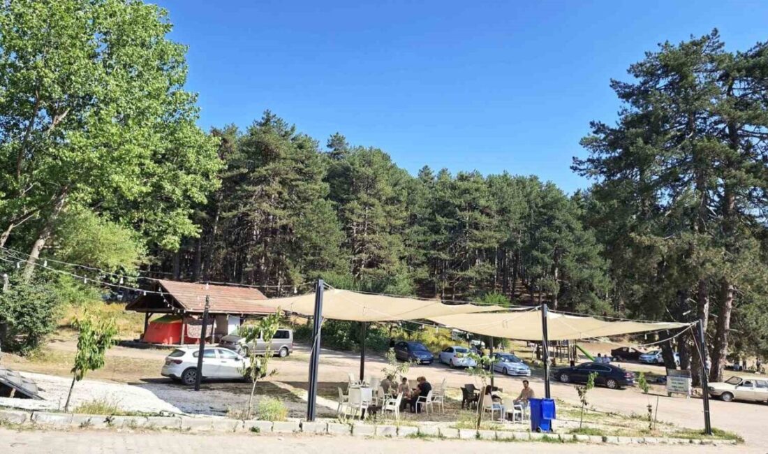 Kütahya’nın Simav ilçesine 15 kilometre uzaklıkta bulunan doğal güzelliklere sahip