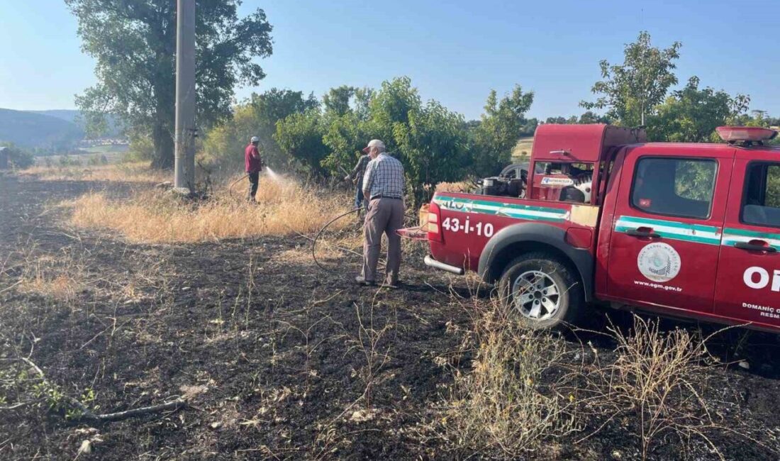Kütahya’nın Domaniç ilçesinde çıkan anız yangını, orman ve itfaiye ekiplerinin