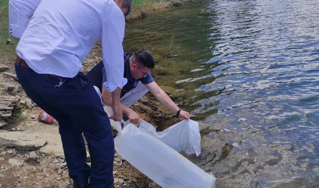 Kütahya’nın Emet ilçesinde Tarım ve Orman Bakanlığının Su Kaynaklarının Balıklandırılması