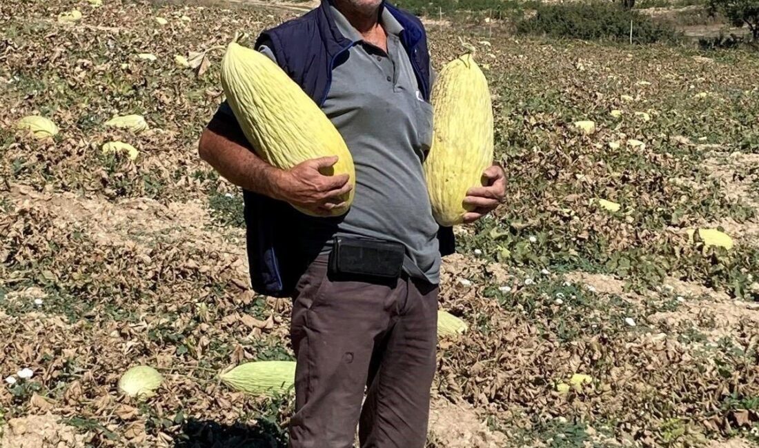 Emet İlçe Tarım ve Orman Müdürlüğü ile Kütahya İl Tarım