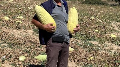 Emet İlçe Tarım ve Orman Müdürlüğü ile Kütahya İl Tarım