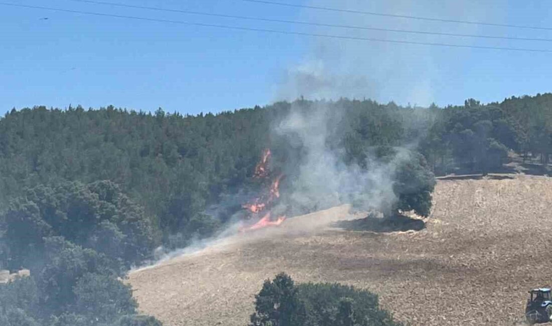 Kütahya’nın Gediz ilçesine bağlı Yenikent Beldesi’nde bugün öğle saatlerinde başlayan