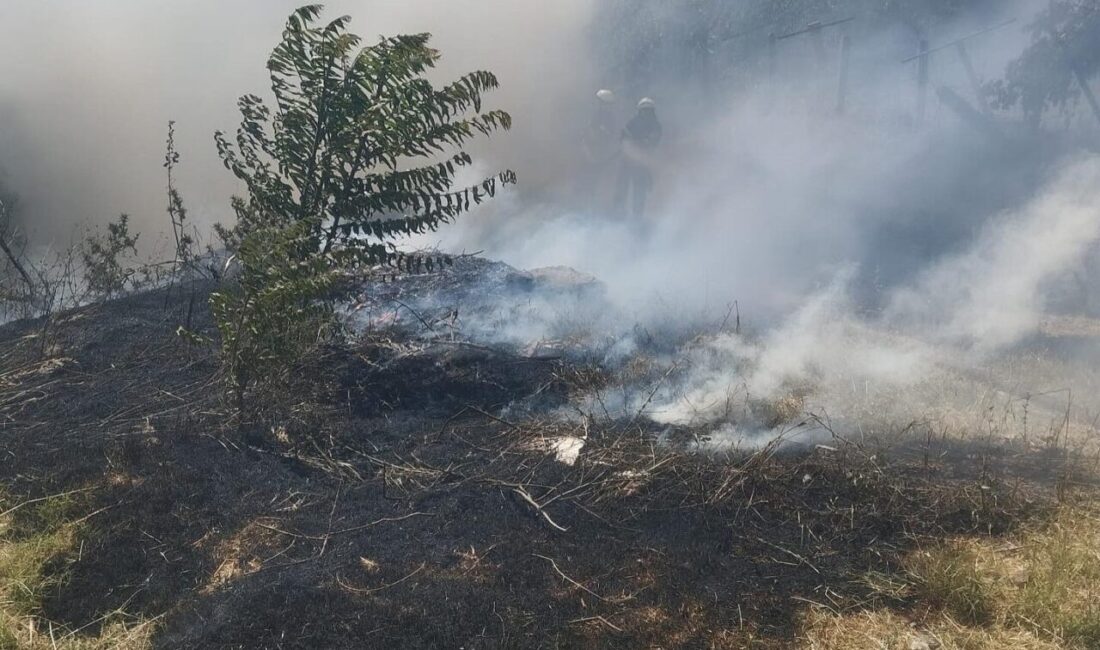 Kütahya’nın Gediz ilçesinde bir elektrik trafosunun yanında çıkan ot yangını,