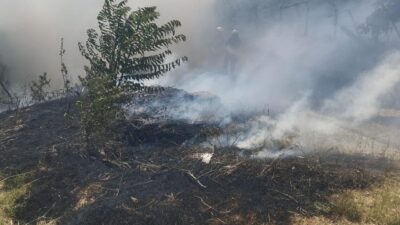 Kütahya’nın Gediz ilçesinde bir elektrik trafosunun yanında çıkan ot yangını,