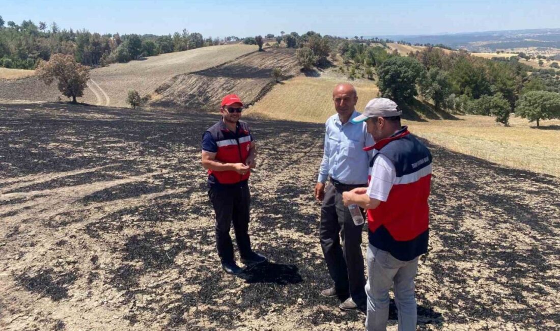 Kütahya’nın Gediz ilçesinde önceki gün meydana gelen orman yangınından etkilenen