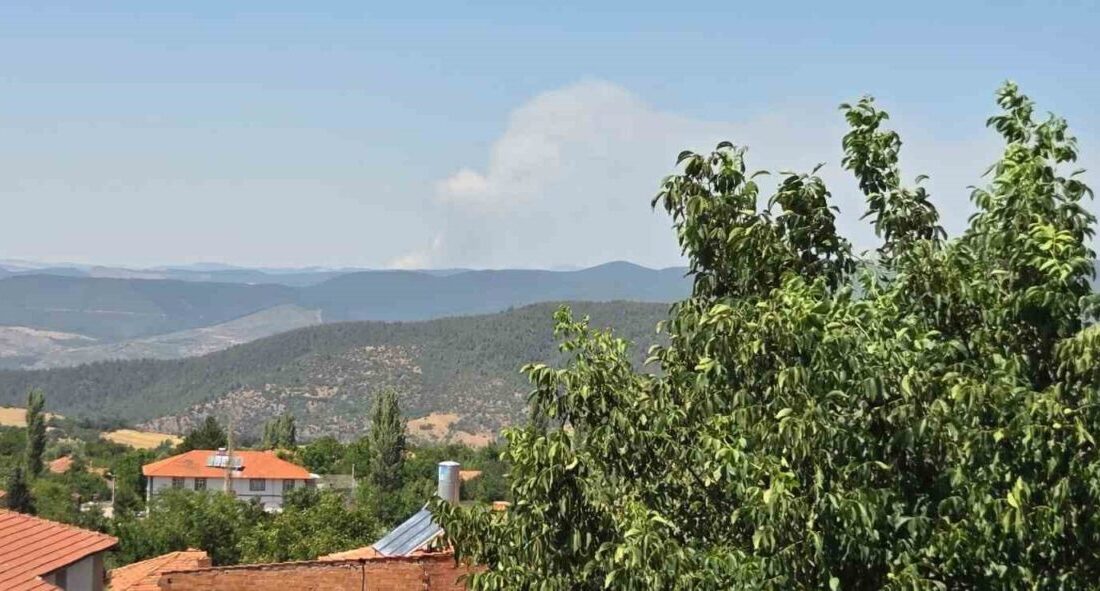 Bursa’nın Harmancık ilçesinde çıkan orman yangını, ikinci gününde de büyük