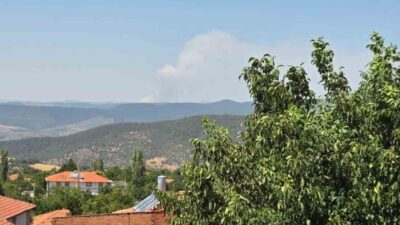 Bursa’nın Harmancık ilçesinde çıkan orman yangını, ikinci gününde de büyük