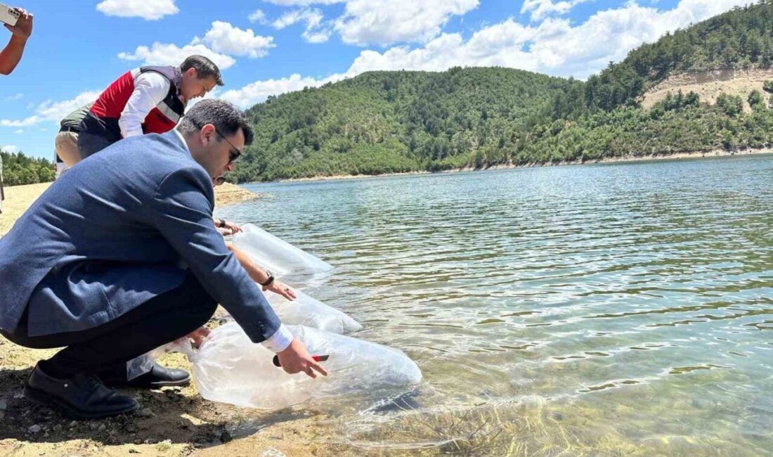 Kütahya’nın Hisarcık ilçesinde Tarım ve Orman Bakanlığının Su Kaynaklarının Balıklandırılması