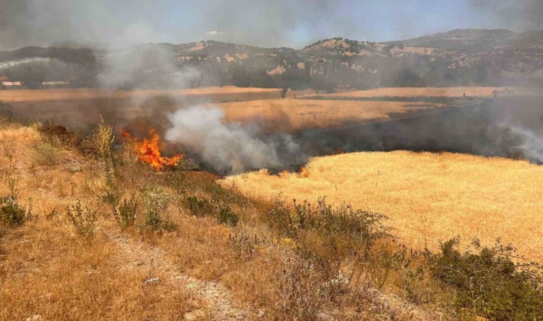 Kütahya’nın Hisarcık ilçesinde biçerdöverden çıkan kıvılcımın hububat ekili alanı tutuşturması