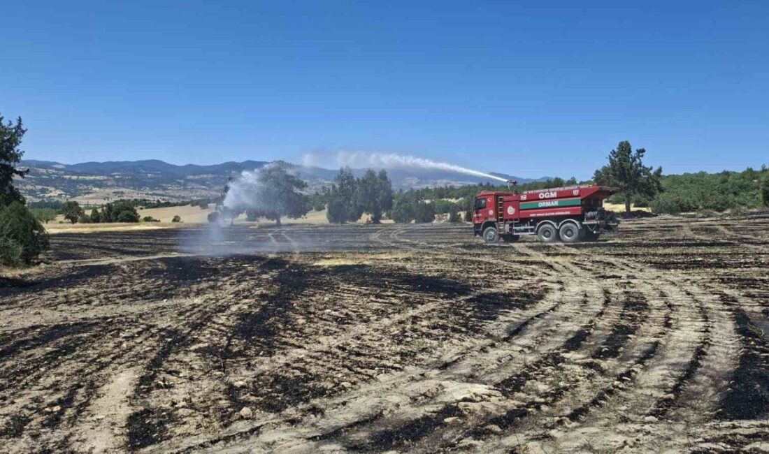 Kütahya’nın Hisarcık ilçesinde biçerdöverden çıkan kıvılcımın otluk alanı tutuşturması sonucu