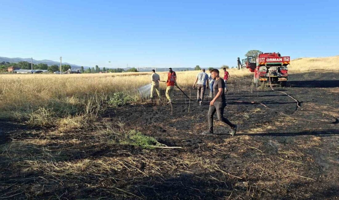 Kütahya’nın Hisarcık ilçesinde yem bitkisi ekili alanda çıkan yangından 7