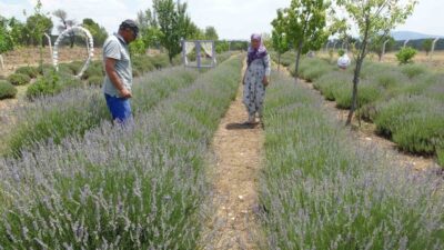 Kütahya’nın Aloğlu köyünde yaşayan İsmail ve Emine Daşgın çifti, hobi