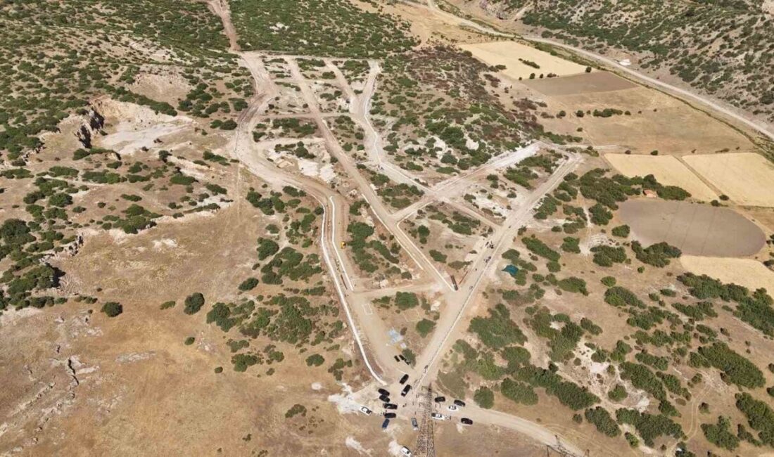 Kütahya Valisi Musa Işın, sahipsiz hayvanlara yönelik yürütülen çalışmalar hakkında