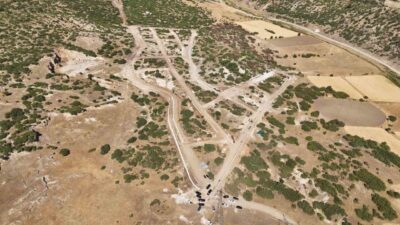 Kütahya Valisi Musa Işın, sahipsiz hayvanlara yönelik yürütülen çalışmalar hakkında