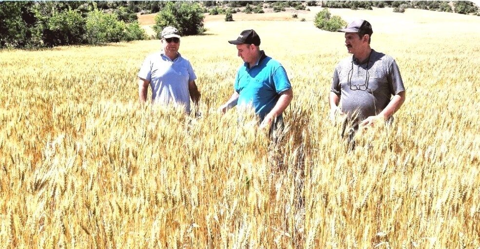 Kütahya’nın Altıntaş, Aslanapa ve merkez ilçeleri köylerinde 3 bin 105