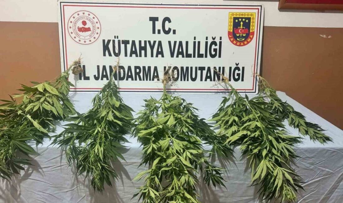 Kütahya İl Jandarma Komutanlığı ekiplerince Gediz ve Şaphane ilçelerinde yapılan