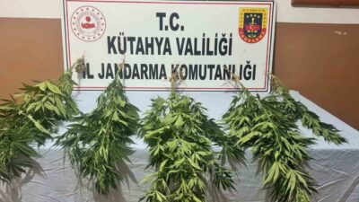 Kütahya İl Jandarma Komutanlığı ekiplerince Gediz ve Şaphane ilçelerinde yapılan