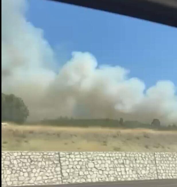 Oğuzhan KILIÇ/GEDİZ (Kütahya), – KÜTAHYA’nın Gediz ilçesinde orman yangını çıktı.