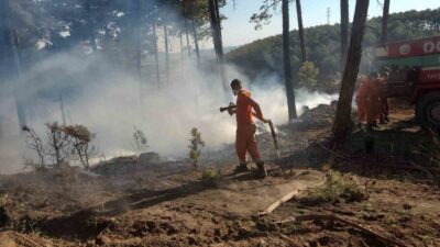 Kütahya’nın Tavşanlı ilçesi Tunçbilek beldesinde ormanlık alanda yangın çıktı. Tunçbilek