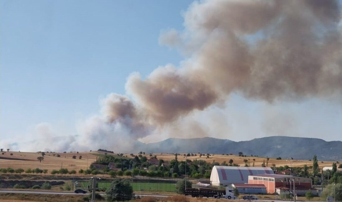 Kütahya’nın Dumlupınar ilçesinde ormanlık alanda yangın çıktı. İtfaiye ekipleri yangına
