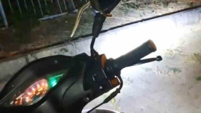 Kütahya’nın Domaniç ilçesinde park halindeki motosikletin direksiyon kısmına giren yılan