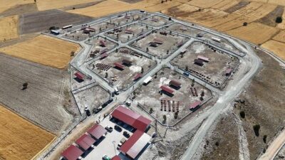 Kütahya’da sahipsiz sokak hayvanları için örnek bir proje daha hayata