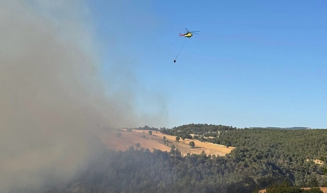 Kütahya’nın Gediz ilçesinde ormanlık alanda çıkan yangın, ekiplerin yoğun çabalarıyla