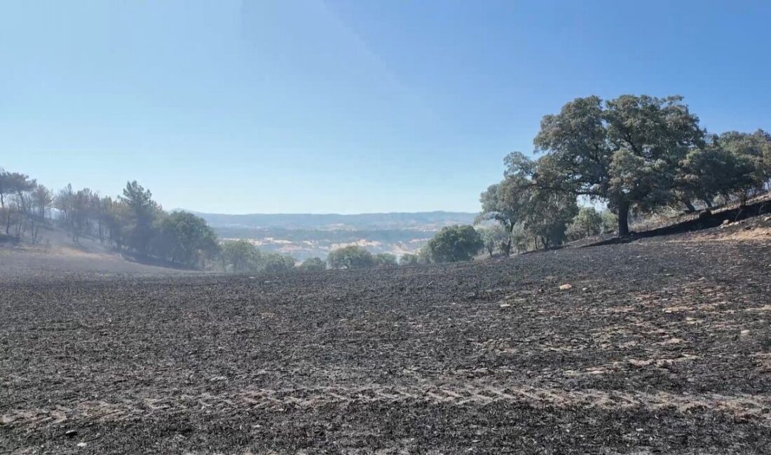 Kütahya’nın Gediz ilçesinde ormanlık alanda çıkan yangın, ekiplerin yoğun çabalarıyla