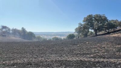 Kütahya’nın Gediz ilçesinde ormanlık alanda çıkan yangın, ekiplerin yoğun çabalarıyla