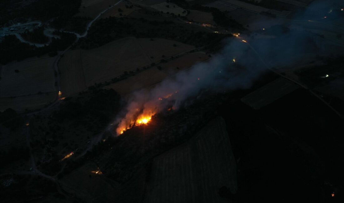 Oğuzhan KILIÇ/ KÜTAHYA, – KÜTAHYA’nın Dumlupınar ilçesindeki ormanda çıkan yangın,
