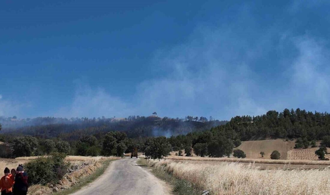 Kütahya’nın Gediz ilçesindeki orman yangınına karadan ve havadan müdahale sürüyor.